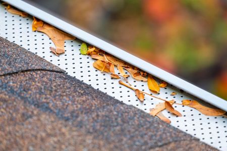 Gutter Cleaning vs Gutter Guards: What Makes Sense for Buffalo-Area Homes?